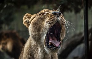 10 Ways to Make Extra Money as a Graphic Designer