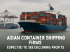 Asian container shipping firms are expected to see declining profits as the surge from tariff-related demand begins to ease.