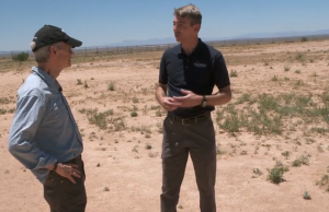 How “Barbenheimer” became the summer’s most online movie showdown